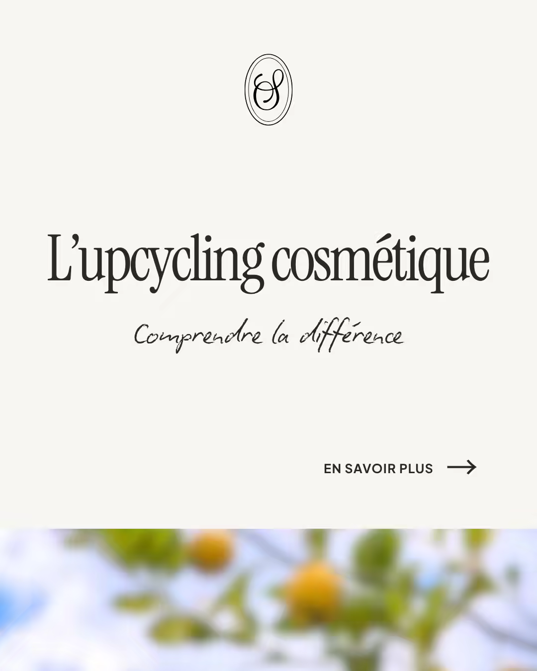 Contenu créé pour Sôje par La Frenchie Communication