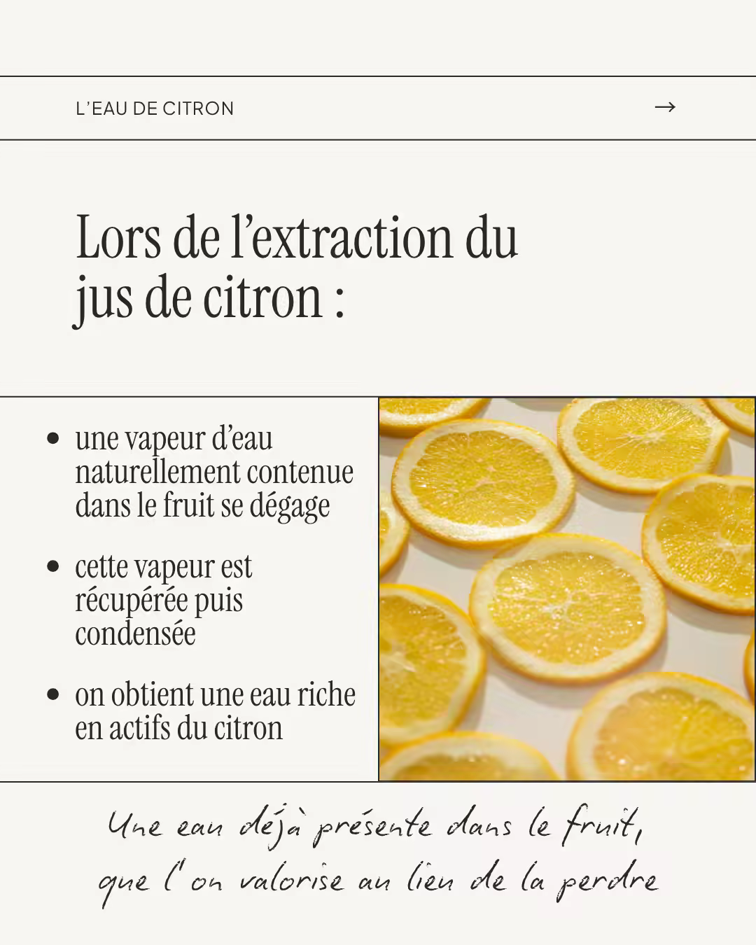 Contenu créé pour Sôje par La Frenchie Communication