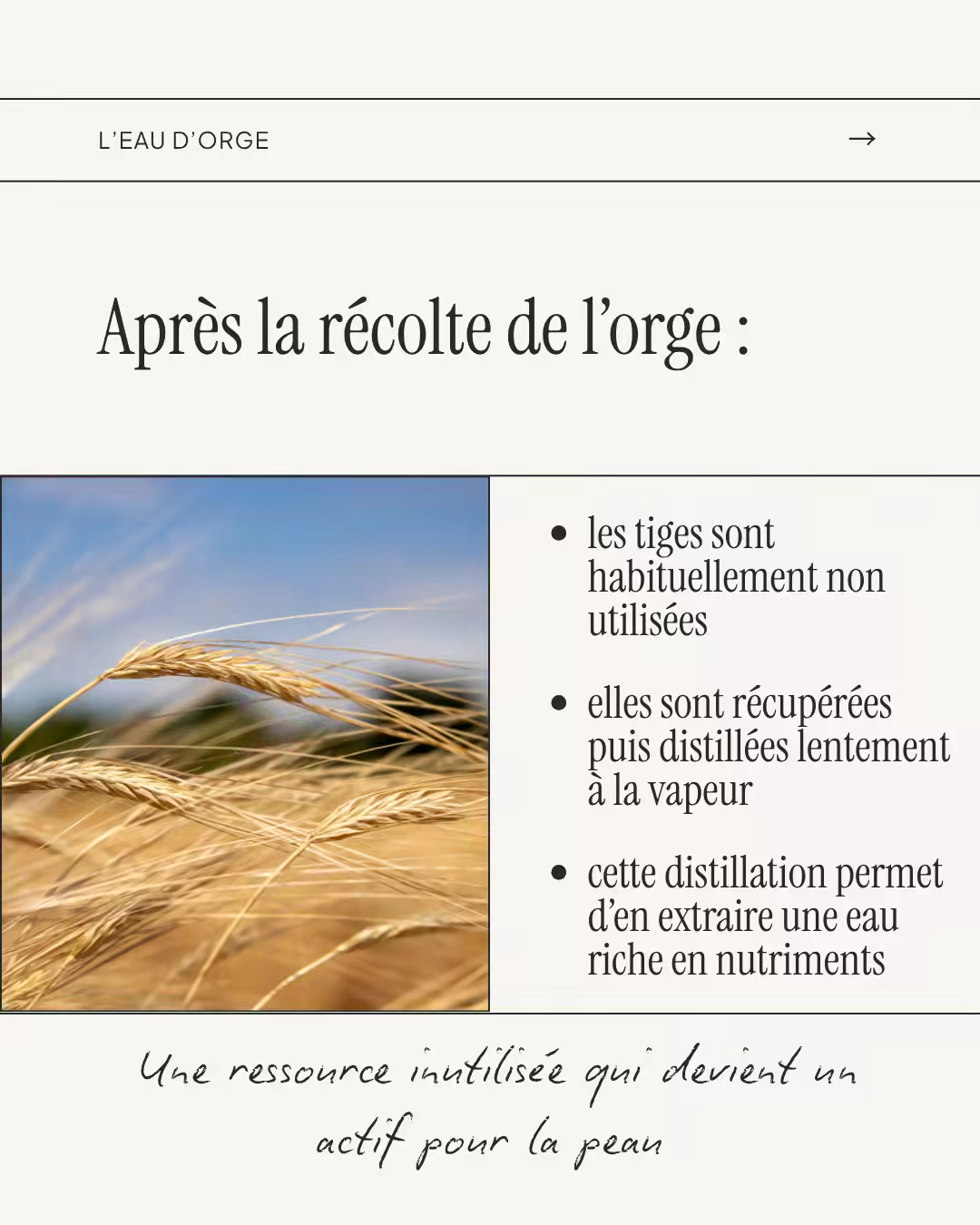Contenu créé pour Sôje par La Frenchie Communication