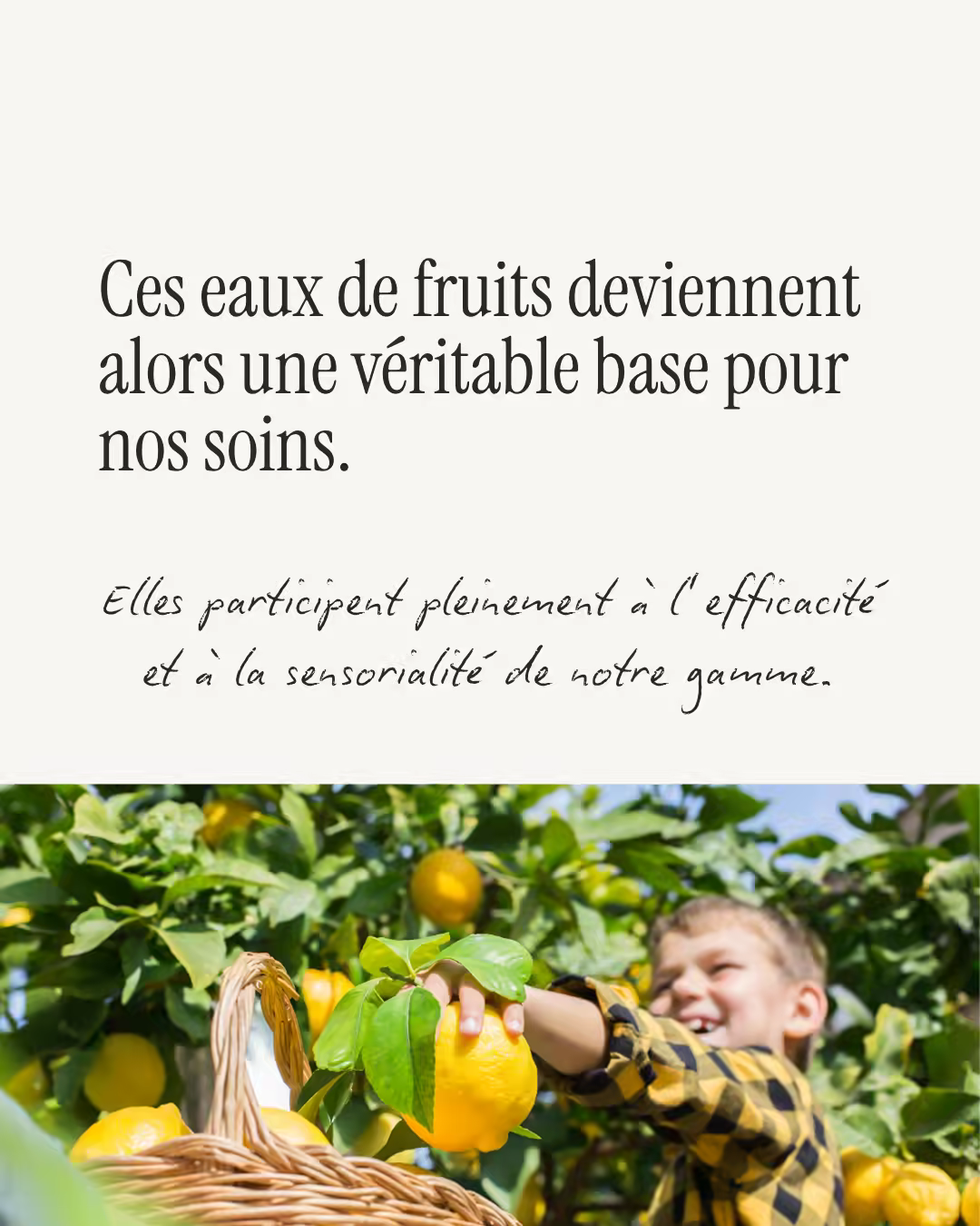 Contenu créé pour Sôje par La Frenchie Communication